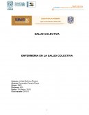 Enfermeria en salud colectiva 3