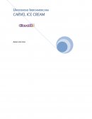 ANALISIS CASO CARVEL ICE CREAN