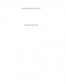 La Formación Integral y sus Dimensiones