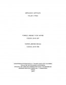Actividad 6: Taller 3 Unidad 3: Alternativas de inversión y financiamiento