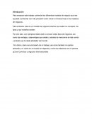 Campos para los negocios