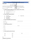 Potenciacion y radicacion en naturales