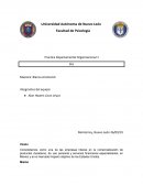 DIAGNOSTICO ORGANIZACIONAL DE UNA EMPRESA