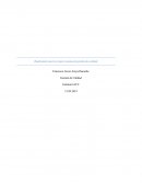 Realizando nuestro propio sistema de gestión de calidad