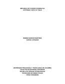 MECANICA DE FLUIDOS E HIDRAULICA