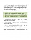 Estrategia para pequeños empresarios