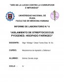 INFORME DE LABORATORIO N.º 6 “AISLAMIENTO DE STREPTOCOCCUS PYOGENES: HISOPADO FARÍNGEO”