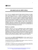 Implementacion de SAP en Kenda