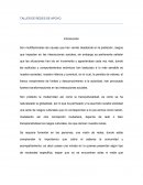 Taller de reyes de apoyo social