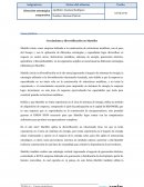 Casos prácticos Crecimiento y diversificación en Martifer