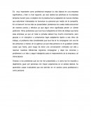 La práctica profesional