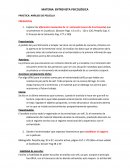 Entrevista psicologica- analisis de la película en busca del destino