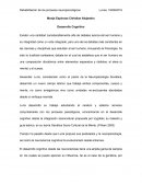 Desarrollo Cognitivo desde un enfoque Neuropsicológico