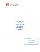 Plan Estratégico SEGURINT LTDA