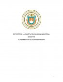 REPORTE DE LA CUARTA REVOLUCION INDUSTRIAL