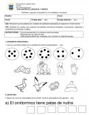 EVALUACIÓN DE LENGUAJE 1° BÁSICO “Identificar y ejecutar consonante R y G en palabras y oraciones”