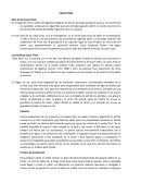 CASAS TINAS Base de las Casas Tinas