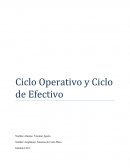 Ciclo Operativo y Ciclo de Efectivo