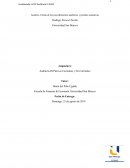 Analizar el tema de los procedimientos analíticos y pruebas sustantivas
