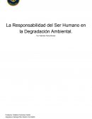 La Responsabilidad del Ser Humano en la Degradación Ambiental