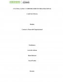 CULTURA, CLIMA Y COMPORTAMIENTO ORGANIZACIONAL CASO MATTELSA