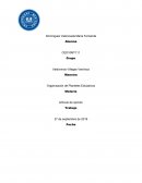 Organización de Planteles Educativos