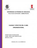 Causas y efectos del clima organizacional