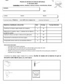 PRUEBA DE SINTESIS DE CIENCIAS NATURALES