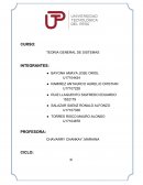 METODOLOGIA DE SISTEMAS SUAVES EMPRESA AGROPUCALA S.A.A