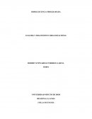 OBSOLESCENCIA PROGRAMADA ANALISIS Y DIAGNOSTICO ORGANIZACIONAL