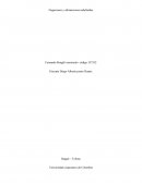 Negaciones y afirmaciones indefinidas