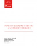 EFECTOS DEL PH EN DEPRESORES DE COBRE PARA LA FLOTACION SELECTIVA DE MOLIBDENO
