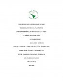 Elaboración de una pagina web para una empresa de helados vegetales