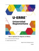 Marco Legal para los Negocios en México
