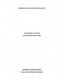 PRINCIPIO DE APLICACIÓN DE PLAN HACCP