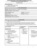 Plan de clase- tema: articulación