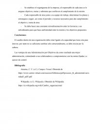 CASO PRÁCTICO: UNIDAD 3. PROCESOS Y TEORÍAS ADMINISTRATIVAS. Página 4