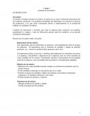 Sistema de inventarios. Importancia del inventario