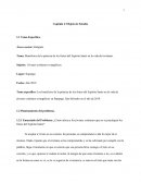 Beneficios de la práctica de los frutos del Espíritu Santo en la vida del cristiano