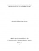 CONSUMO DE SUSTANCIAS PSICOACTIVAS EN LOS NIÑOS, NIÑAS Y ADOLESCENTES (NNA) EN LA LOCALIDAD DE RAFAEL URIBE