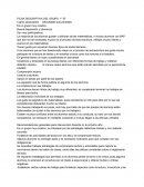 Fichas descriptivas de alumnos de segundo