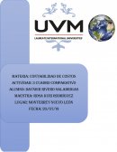 Cuadro Comparativo costos