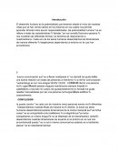 Actividad 4 Reflexion escrita del ser