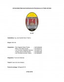 Informe Grupal Caso Ace Auto Dealers