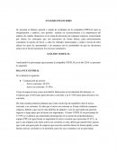 Analisis financiero compañía COPELIA