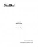 Trabajo N°2 “Identificar Falacias”