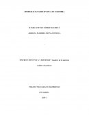 Democracia paticipativa en Colombia