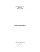 PROYECTO DE SALUBRIDAD