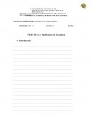 PRÁCTICA 3: Purificación de Levaduras