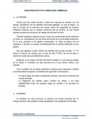 CASO PRACTICO 10 DIRECCION COMERCIAL